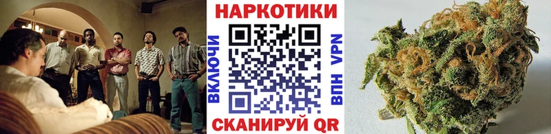 Альфа ПВП Берёзовский