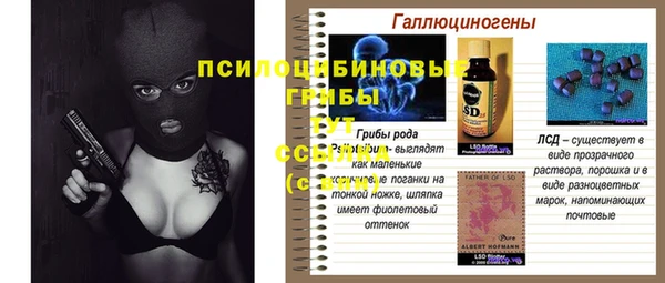 ГАЛЛЮЦИНОГЕННЫЕ ГРИБЫ Покров