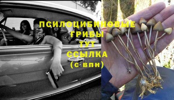 прущие крисы Алзамай