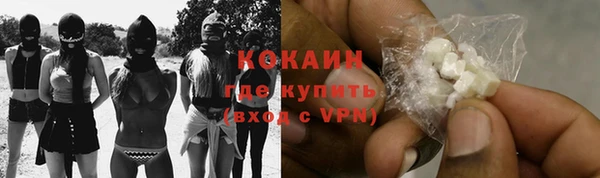 прущие крисы Алзамай
