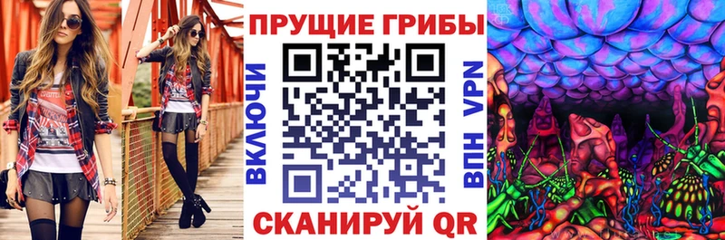 Галлюциногенные грибы ЛСД  где купить наркотик  Берёзовский 